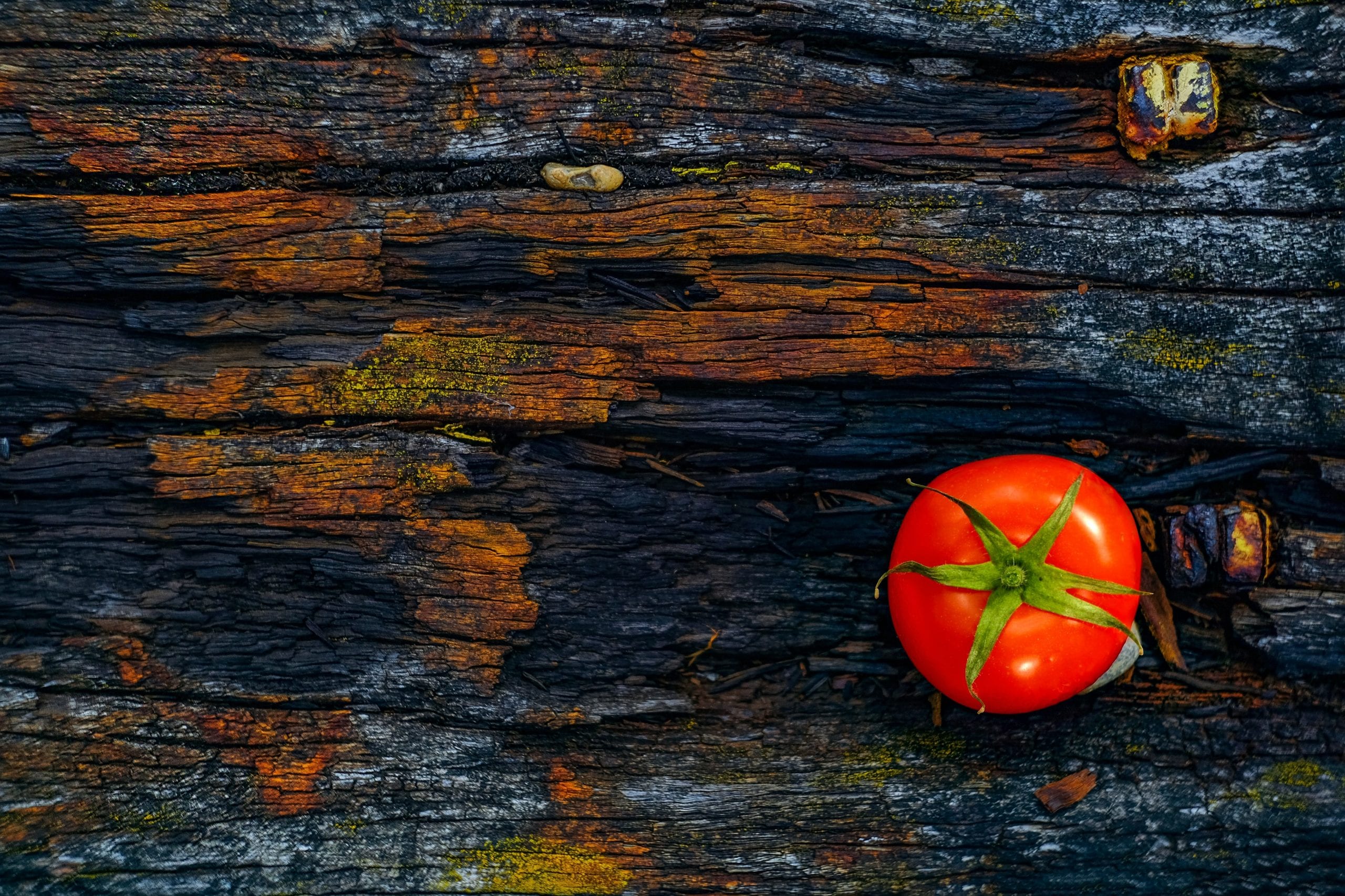 Territory Foods