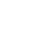 Insight Video